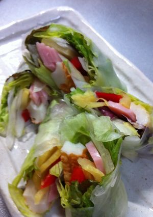 ごちそう生春巻き-レシピのメイン写真