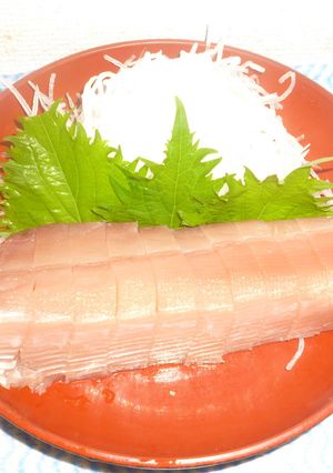 パパのまぐろの刺身-レシピのメイン写真