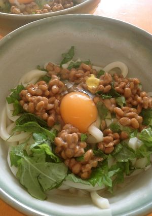 冷製 納豆月見うどん-レシピのメイン写真