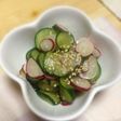 ラディッシュときゅうりの酢の物