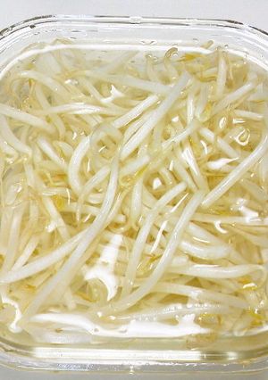 もやしは水につけて保存(豆腐・蒟蒻)-レシピのメイン写真