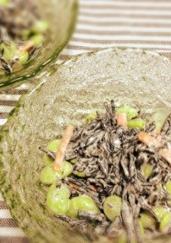 枝豆とひじきのわさびマヨサラダ-レシピのメイン写真
