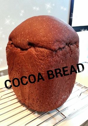 HB ココアパウダーの食パン-レシピのメイン写真