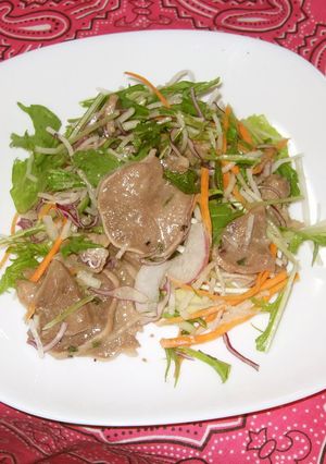 シャキシャキ野菜の焼き肉サラダ-レシピのメイン写真