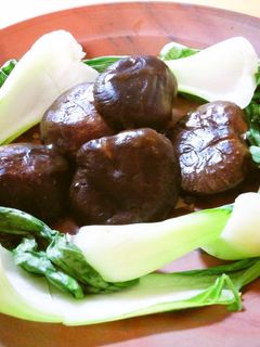 椎茸の中華煮-レシピのメイン写真