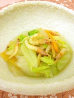 白菜と干しエビのあっさり煮-レシピのメイン写真