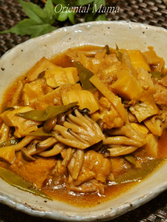 息子の大好物!鶏と厚揚げのうまい煮物-レシピのメイン写真