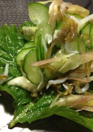 味付け不要！キューリとモズクの酢の物☆-レシピのメイン写真