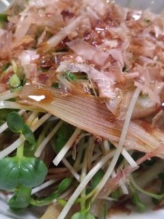 【簡単おつまみ】かいわれ茗荷-レシピのメイン写真
