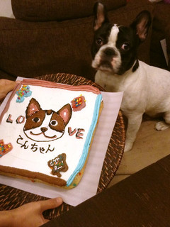 愛犬ケーキ(×犬用○人間用)-レシピのメイン写真