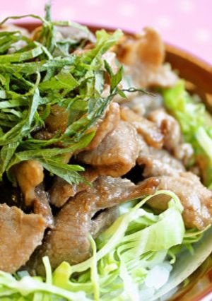 さっぱりガッツリスタミナ丼-レシピのメイン写真