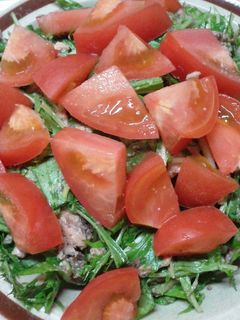 水菜と鯖缶ゴマ柚子胡椒サラダ☆妊婦向き♪-レシピのメイン写真