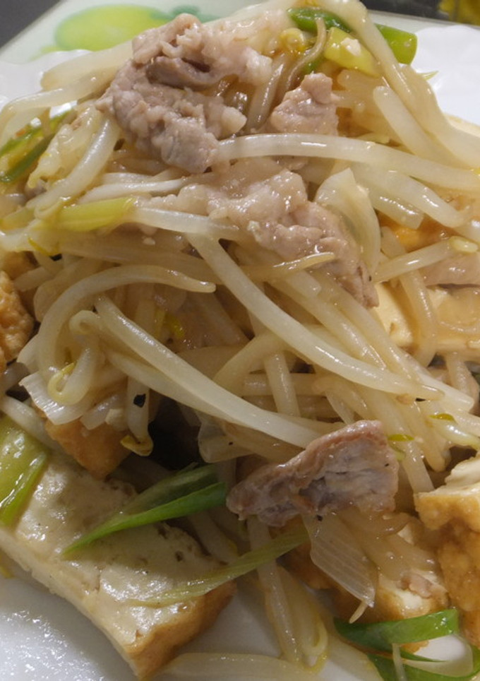 もやしと厚揚げと豚肉の炒め物-レシピのメイン写真