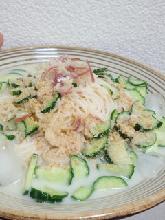 簡単、豆乳そうめん♪-レシピのメイン写真
