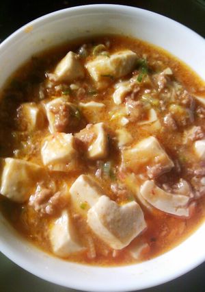夏を乗り切れ！ご飯が進む簡単本格麻婆豆腐-レシピのメイン写真