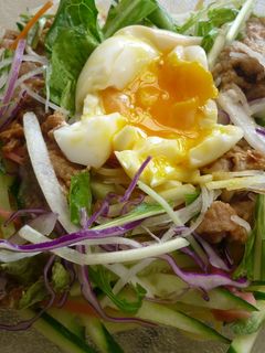 手軽に冷し中華-レシピのメイン写真