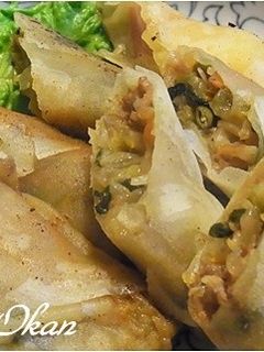 夏野菜が嫌いでも♪夏野菜たっぷり春巻き-レシピのメイン写真