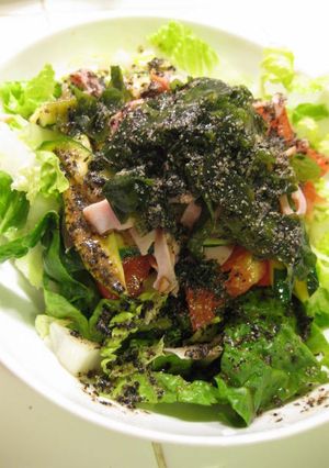 黒ゴマソースのサラダうどん-レシピのメイン写真
