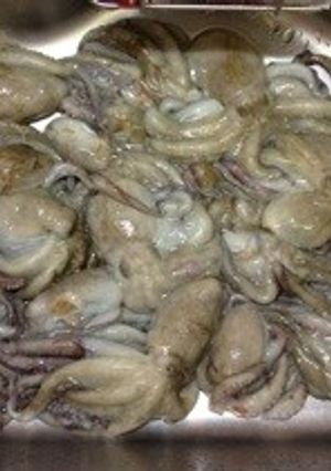 生蛸の保存★下処理が面倒な方へ-レシピのメイン写真