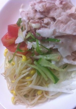 葉物野菜高騰！大根のしゃきしゃき冷しゃぶ-レシピのメイン写真