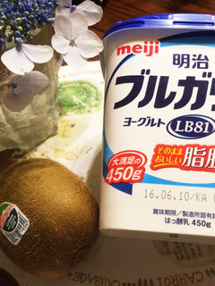 キウイとヨーグルトの生ジュース☆-レシピのメイン写真