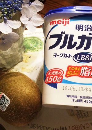 キウイとヨーグルトの生ジュース☆-レシピのメイン写真