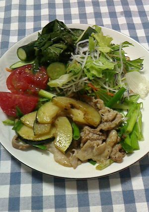 野菜たっぷりスタミナごはん-レシピのメイン写真