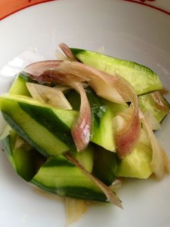 中華風☆きゅうりとミョウガの浅漬け-レシピのメイン写真