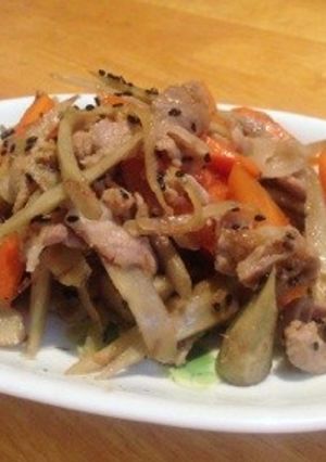 豚肉入りキンピラ-レシピのメイン写真