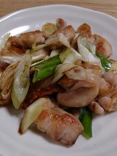 鶏モモとネギの塩炒め-レシピのメイン写真