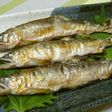 初物☆鮎の塩焼き