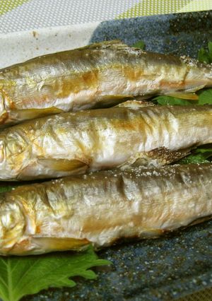 初物☆鮎の塩焼き-レシピのメイン写真