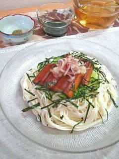 ひつまぶし風に出汁でぶっかけ☆うなぎ素麺-レシピのメイン写真
