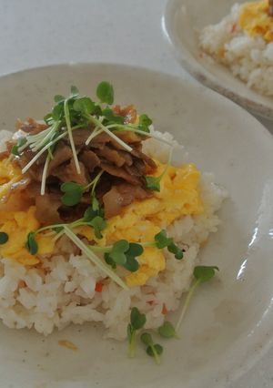 夏休みのおひるごはんチャレンジ2013-レシピのメイン写真