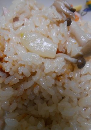鶏肉・にんにく・生姜入り炊き込みご飯-レシピのメイン写真