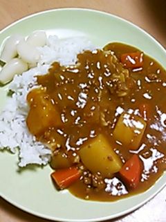 ふつうのカレー-レシピのメイン写真