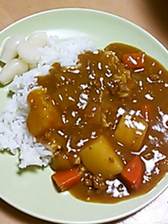 ふつうのカレー-レシピのメイン写真