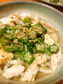 オクラと鶏ささみのうどん-レシピのメイン写真