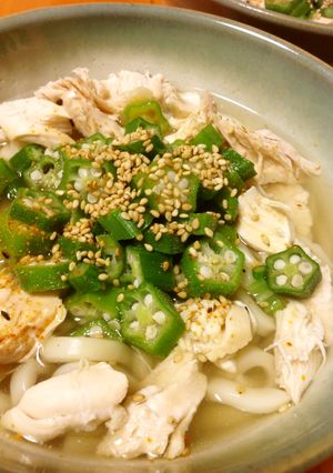 オクラと鶏ささみのうどん-レシピのメイン写真