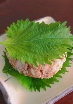 夏バテ防止おにぎり♪-レシピのメイン写真