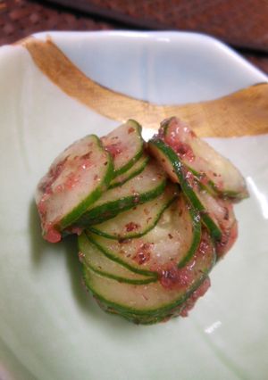 胡瓜の梅肉和え-レシピのメイン写真
