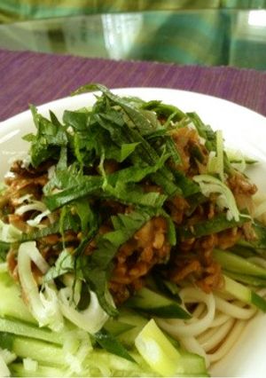 冷やしジャージャー納豆肉味噌うどん☆-レシピのメイン写真