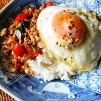 基本からアレンジまで！思わずつくりたくなる「ガパオ ナンプラー