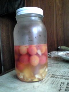 プチトマトとレモンのシロップ漬け-レシピのメイン写真