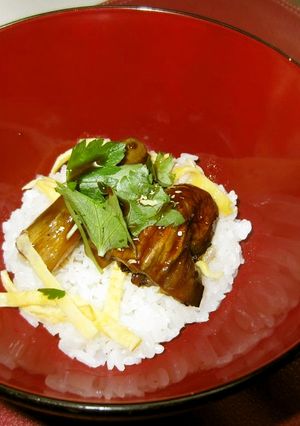 なすの蒲焼き丼-レシピのメイン写真