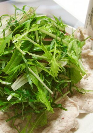 塩ぽん酢ｄｅ香味野菜の豚しゃぶサラダ-レシピのメイン写真