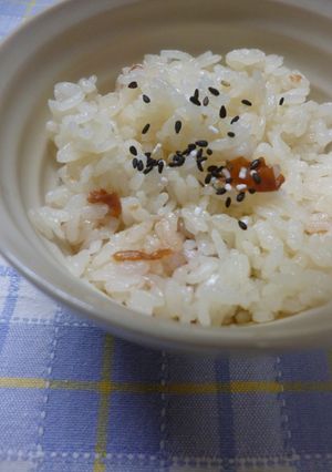 梅ごはん-レシピのメイン写真