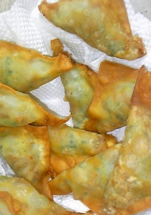 納豆とゴーヤーのワンタン皮包み揚げ-レシピのメイン写真