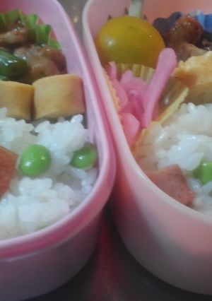 簡単スパムごはん弁当-レシピのメイン写真