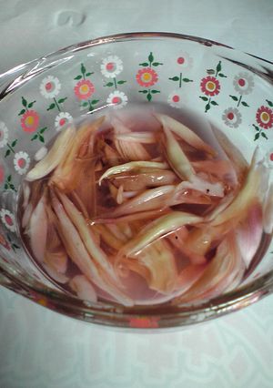 みょうがの酢漬け-レシピのメイン写真